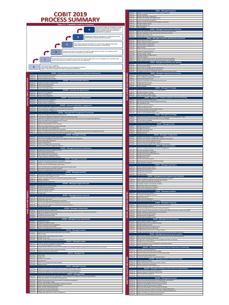 COBIT-2019 Online Prüfungen