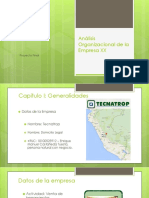 Análisis_Organizacional_de_la_Empresa_XX[1].pptx