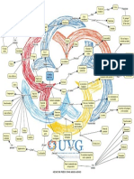 TEORIA CRITICA - Cmap