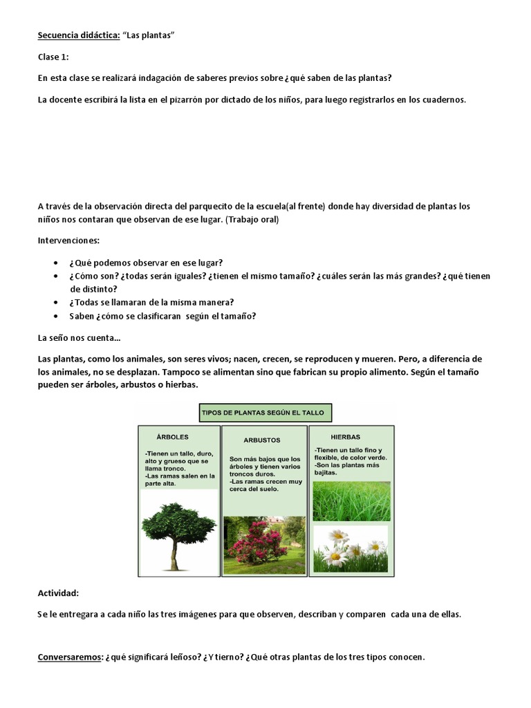 Secuencia Didáctica: Las Plantas 1° Grado | PDF | Tallo de la planta ...