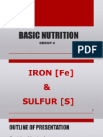 Basic Nutrition: Group 4