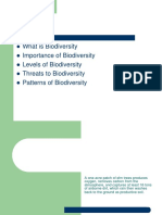 What Is Biodiversity Importance of Biodiversity Levels of Biodiversity Threats To Biodiversity Patterns of Biodiversity