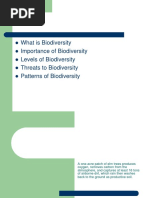 What Is Biodiversity Importance of Biodiversity Levels of Biodiversity Threats To Biodiversity Patterns of Biodiversity