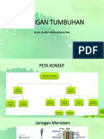 Jaringan Tumbuhan