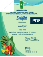 Sertifikat Workshop PDF