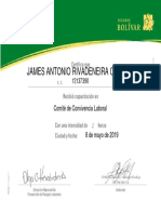 Comite Convivencia Laboral - Certificado - JAMES RIVADENEIRA PDF
