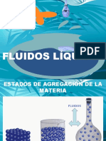 fluidos-101020105351-phpapp01.pdf