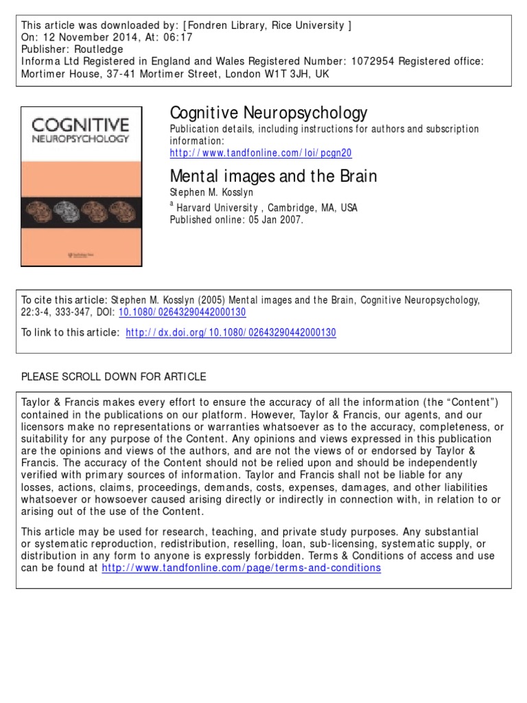 Mental Imagenery | PDF | Mental Image | Visual System