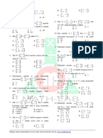 Matriks PDF