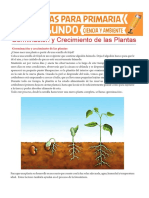 Germinación y Crecimiento de Las Plantas para Segundo de Primaria PDF