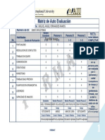 FORMATO. Professional Evaluation (Self Evaluation Matrix) - Matríz de Evaluación.....