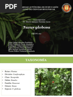 Tratamiento de picaduras de arlomo | PDF | Hogar, jardinería y ...