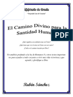 El camino Divino para la Santidad humana 