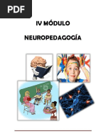 Módulo de Neuropedagogia