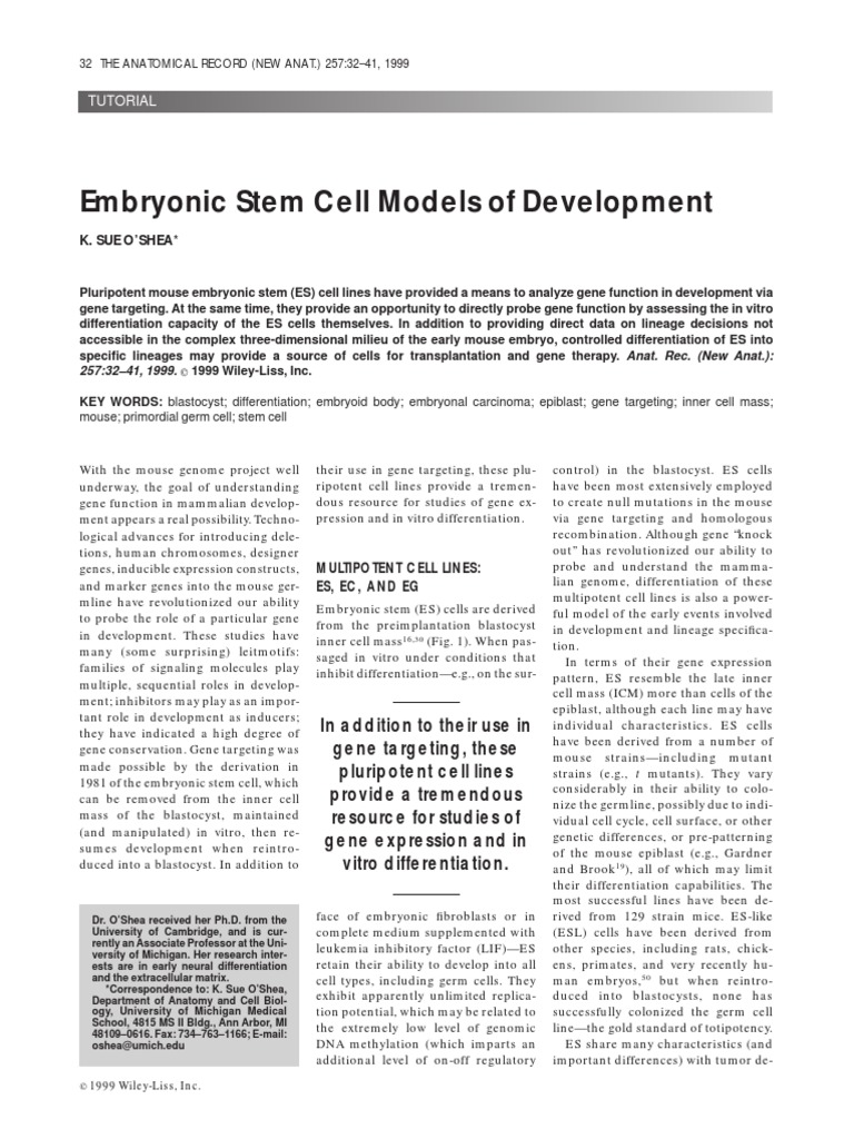 Embryonic Stem Cell Models of Development: Tutorial | PDF | Cellular ...