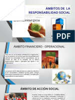 Ambitos de La RS PDF