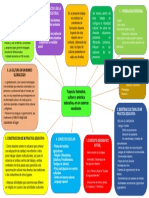 Organizador Grafico PDF