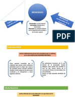 Histologia Meninges