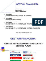 GF Fuentes de Financiamiento Corto y Mediano Plazo v1