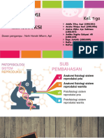 Patofisiologi Sistem Reproduksi Kel 3