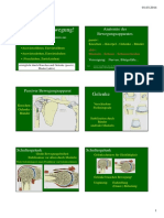 02 Anatomie PDF