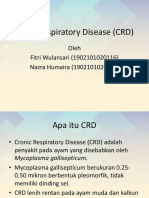 Cronic Respiratory Disease (CRD) bavet.pptx