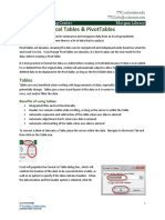 PivotTables.pdf