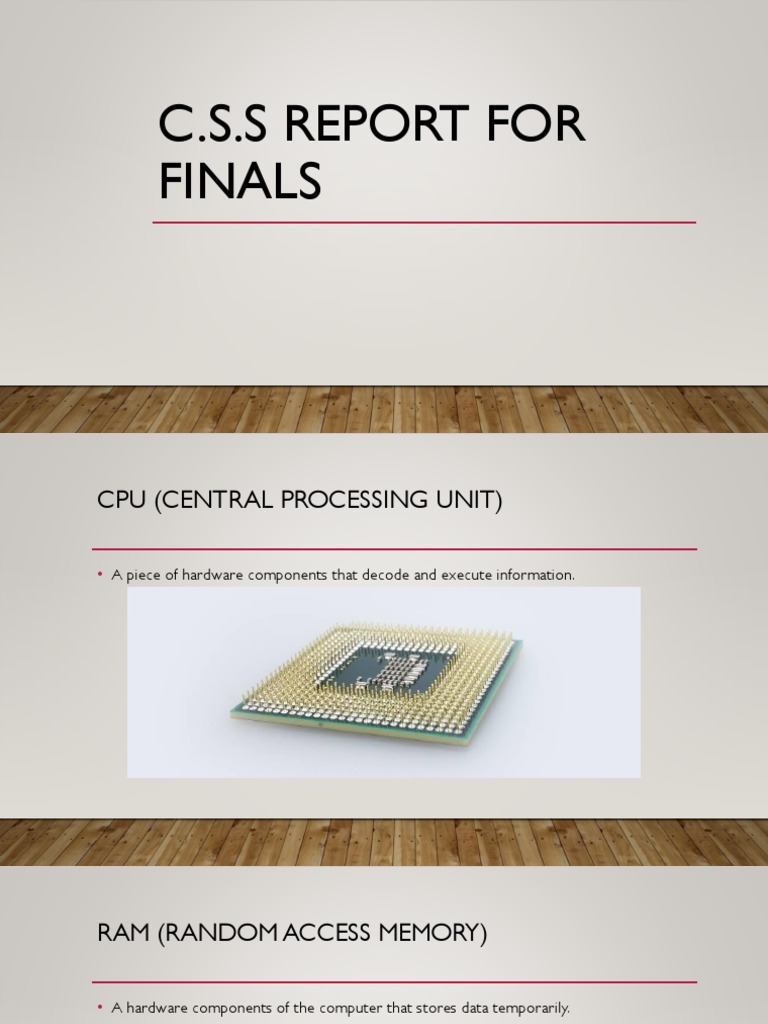 C.S.S Report For Finals | PDF