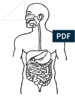 Dibujo Sistema Digestivo