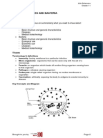 1 Virus and Bacteria PDF