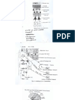 CNS Scan