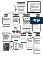 Mapa Conceptuales LSP