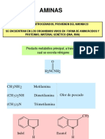 N°3 Aminas.pptx