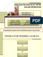 Indra Penglihatan 