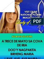 Visit of The National Pilgrim Image of Our