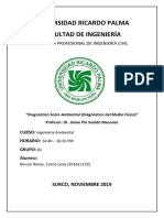 Sexto Informe Final Medio Fisico