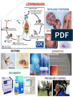 Leishmaniasis