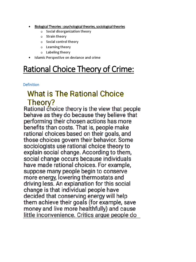 rational choice theory criminology essay