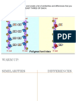 dna and rna.ppt