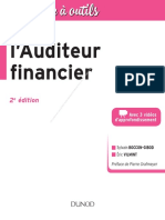 Boite À Outils de Lauditeur Financier - Copie PDF