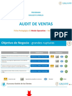 Audit Ventas Presentacion