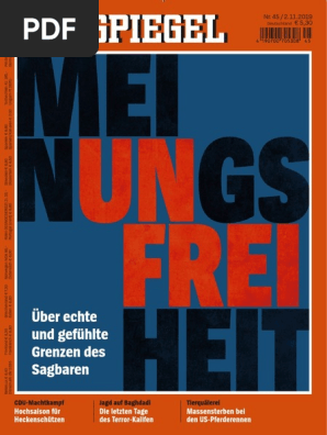 Spiegel 45