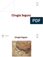 Cirugia Segura