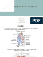 Corazón Izquierdo y Corazón Derecho