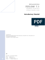FEFLOW-Introductory-Tutorial (2).pdf