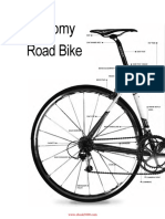 Anatomy Road Bike