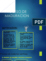 Proceso de Maduración