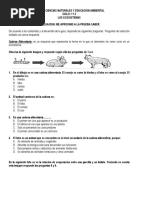 Evaluacion Los Ecosistemass
