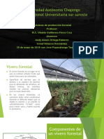 Vivero Forestal