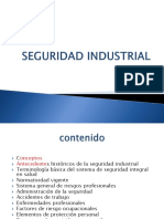 2 Seguridad Industrial1